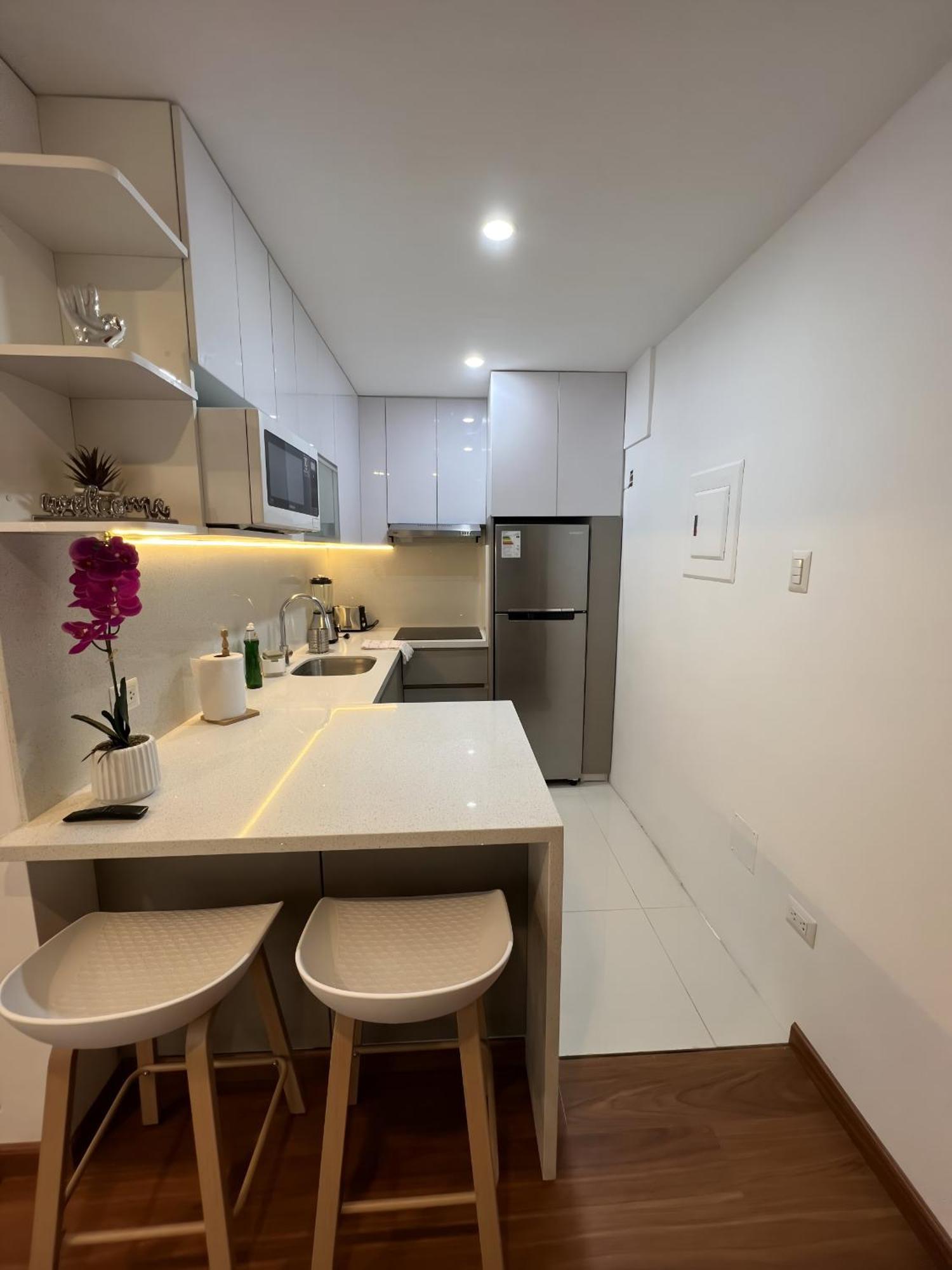 Av Arequipa 603b Apartamento Lima
